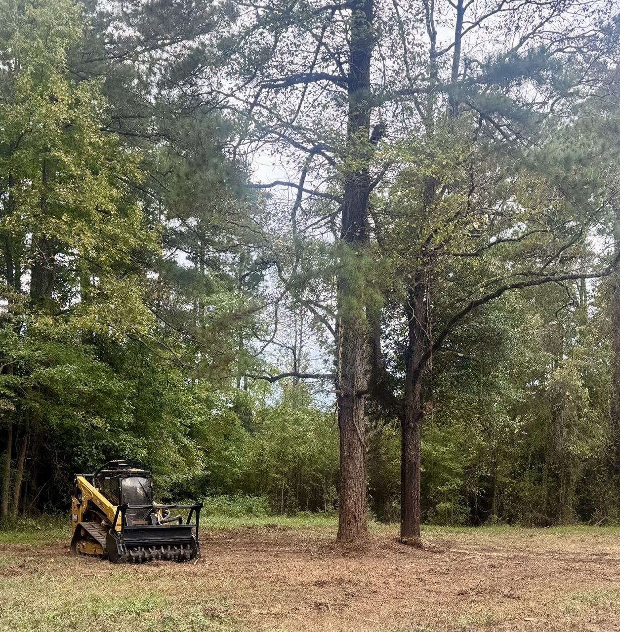 Land clearing and site work project