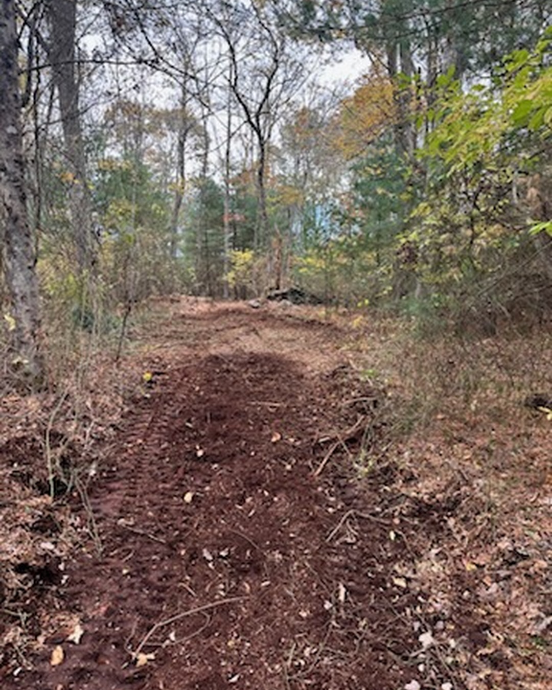 Walking trail cut through the woods with a forestry mulcher in Dighton MA